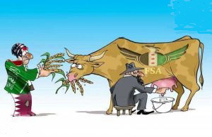  Vache à lait takfiris..... 