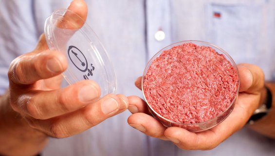 Des vers de terre dans les hamburgers, le secret de fabrication de McDonald’s