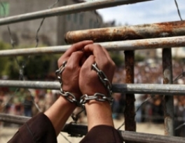 Hundreds march in Hebron to support hunger strikers
