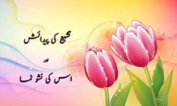 تشیع کی پیدائش اور اس کی نشو نما (۲)