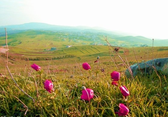 جنوب لبنان: صمود، وتحدي, ومقاومة, قهر العدو قيل انه لا يقهر 