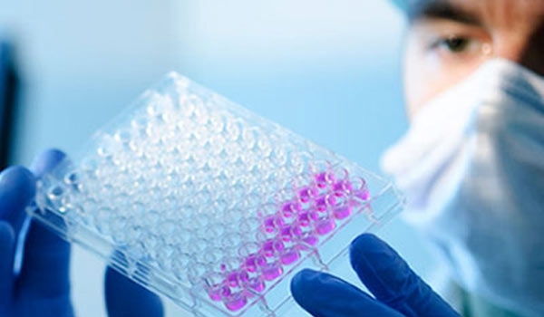 Iran Produces Corrosion-Resistant Coatings for Medical Applications
