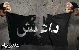 عراق میں داعش کے دہشت گردانہ حملے، شام میں شکست کا بدلہ لینے کی ناکام کوشش