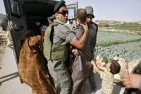 غرب اردن سے تین سو چالیس فلسطینی گرفتار