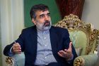 Iran bewertet neue IAEA-Berichte positiv 