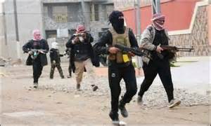 دیالہ میں فوجی آپریشن، دسیوں دھشتگرد ہلاک