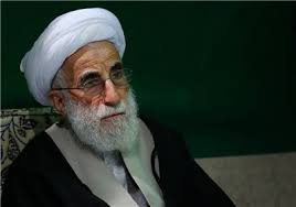 عراقی قوم مرجعیت کی حمایت سے مشکلات پر قابو پا لے گی: آیت اللہ جنتی