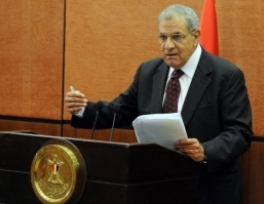 Egypt to ban violence against women: PM