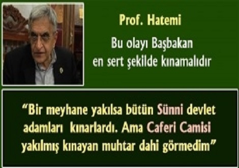 Prof. Hatemi: Bu olayı Başbakan en sert şekilde kınamalıdır