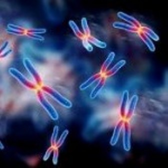  Iran makes new drug, gene carrier