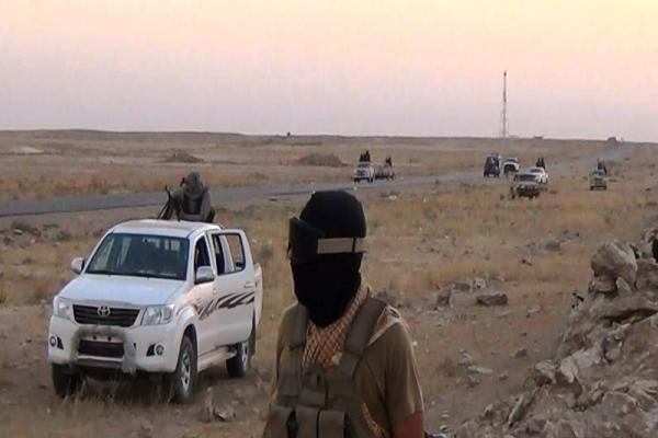 القوات الأمنية العراقية تقتل 80 من عناصر تنظيم "داعش" الإرهابي في ناحية "الكرمة"