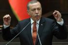 Erdogan: Werde die palästinensischen Ideale um "jeden Preis" unterstützen 