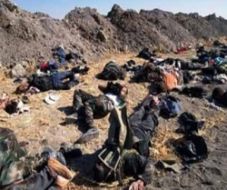 شام ميں فوج کا آپريشن، دوسو سے زائد دہشتگردوں کي ہلاکت