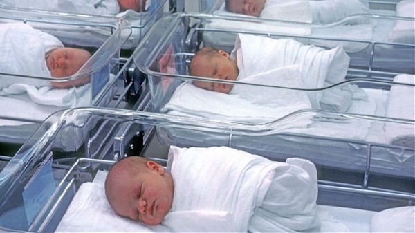 4,500 Palestinian newborns in Gaza during the Israeli aggression 