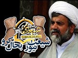شیعت نیوز کو بند کرنے کی سعودی نواز حکومت کے فیصلے کی پرزور مذمت کرتے ہیں،علامہ راجہ ناصر عباس جعفری
