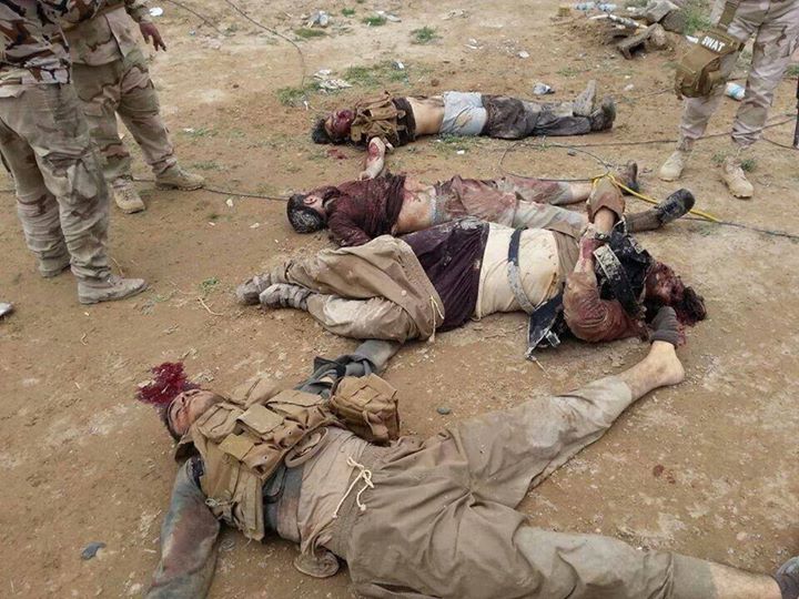إحباط هجوم كبير لداعش على بيجي ومقتل اغلب مسلحي التنظيم