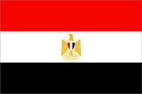 شام کا بحران، مصر کے منصوبے کی رپورٹیں غلط ہيں