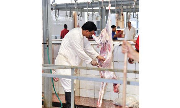 Makkah Municipality to keep holy sites clean