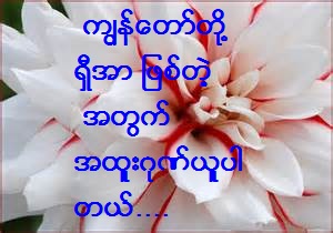 ရွီအာ ဆိုတာ .... (9)