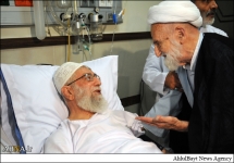 Generaldirektor der Ahlulbayt Weltversammlung besuchte den Revolutionsführer