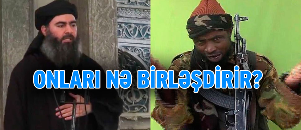 İŞİD və Boko-Haramı nə birləşdirir?