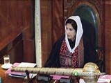 نواز لیگ لشکر جھنگوی و دیگر دہشتگرد گروہوں سے آنیوالوں کو اپنی جماعت سے باہر نکالے، سیدہ شہلا رضا