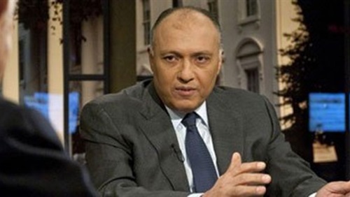 مصر لا تنوي تقديم مساعدة عسكرية لأمريكا لضرب داعش وتريد التركيز على الوضع الداخلي
