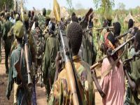 Yan Tawayen Sudan Kimanin 2000 Sun Mika Makamansu Ga Gwamnatin Kasar