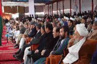 افغانستان کا سیاسی بحران، معروف شخصیتیں میدان میں