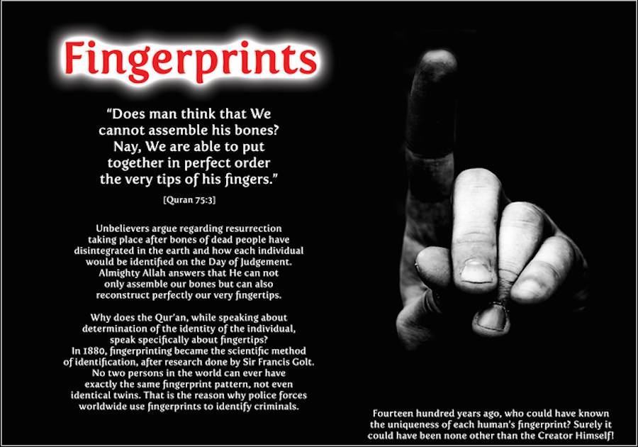  Amazing Fingerprint Miracle in the Quran