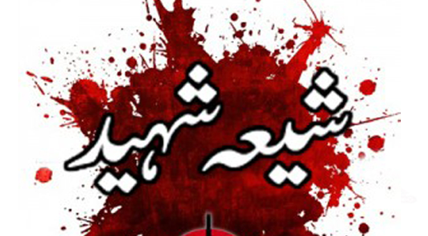 پشاور میں دھشتگردوں کی فائرنگ، سید علی رضا زیدی شہید