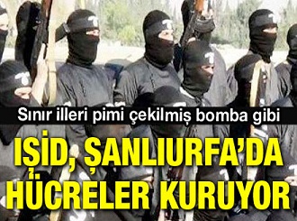 IŞİD, Şanlıurfa’da hücreler kuruyor