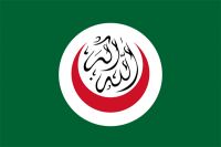اسلامی تعاون تنظیم کی اقوام متحدہ میں اسلام فوبیا کے مقابلے پر تاکید