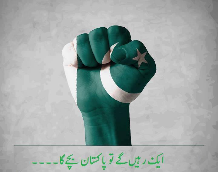 کراچی میں کالعدم طالبان کی کمرتوڑ دی گئی ہے،کرنل طاہر