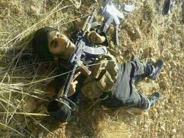  عراق کے صوبۂ صلاح الدین میں دسیوں دہشت گرد ہلاک 