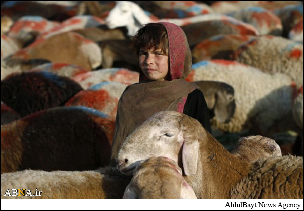 In Photos: Eid ul-Adha Sacrifice in Islamic Country