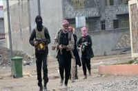 دہشتگردوں کے خلاف آپریشن کا آغاز