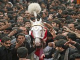 شہباز شریف کی پنجاب حکومت نے ماتمی جلوسوں اور علماء و ذاکرین پر پابندی کا فیصلہ کرلیا