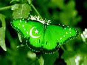 کراچی میں ٹارگٹ کلنگ میں ملوث افراد کی اکثریت سرکاری ملازموں کی ہے
