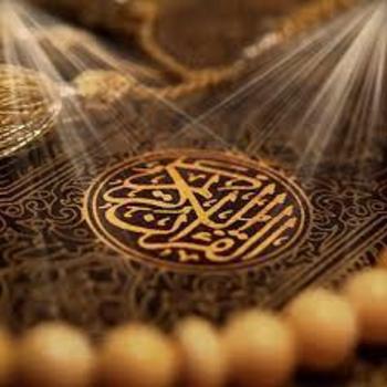 Türkische Frau entehrt Koran