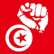 تیونس، عام انتخابات میں ندا تیونس کامیاب