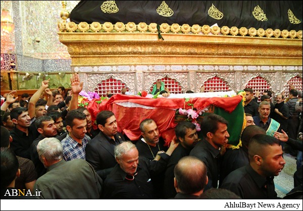 داعش سے جنگ میں حرم حضرت علی(ع) کے خادم کی شہادت+ تصاویر