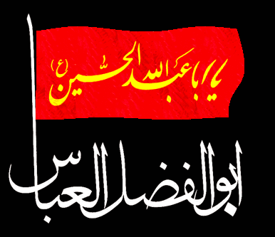 آئینۂ حسینیت میں