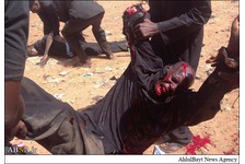 Terroristischer Angriff auf Schiiten in Niger + Fotos