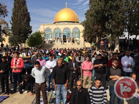 Thousands pray in al-Aqsa for 1st time in months