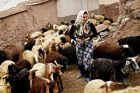 Filmtipp: Auf den Gipfeln des Iran 