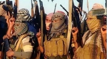 Alkohol und Zoo in ISIL-Wohnung entdeckt