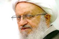 تکفیریت سے متعلق بعض ممالک کی دہری پالیسیاں قابل مذمت
