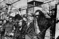 Америка и Франция вновь приступили к пропаганде так называемого холокоста 