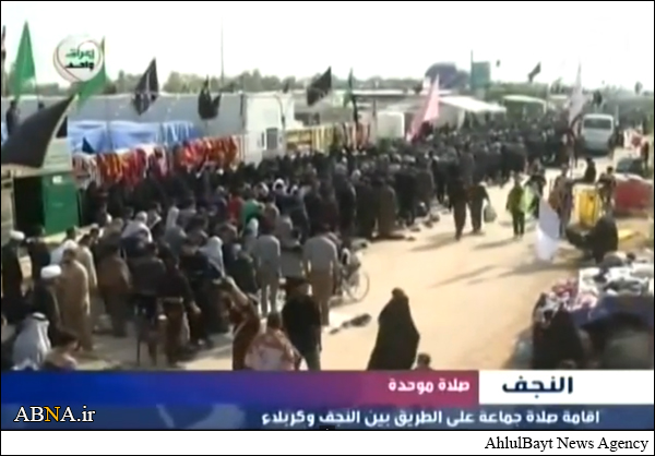 إقامة اكبر صلاة جماعة بين طريق كربلاء والنجف، وأكثر من 18 مليون زائر دخلوا المحافظة في 16 يوما